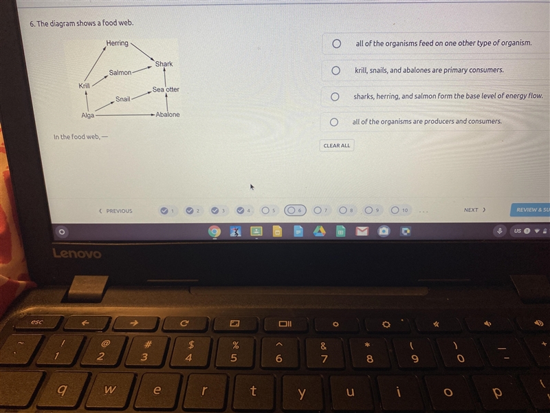 The diagram shows a food web , In the food web - ( I NEED HELP ASAP )-example-1