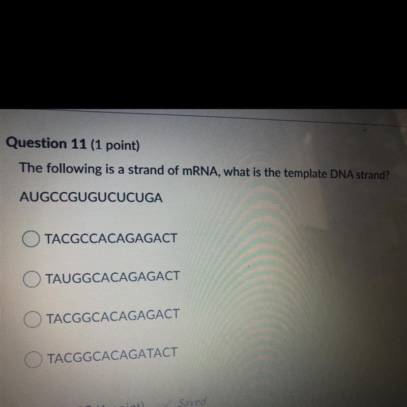 HELP PLEASEEEE !!!!!!!!!!-example-1