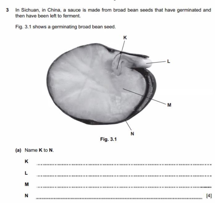 I need this pleaseee someone answer please ill mark brainlinest-example-1