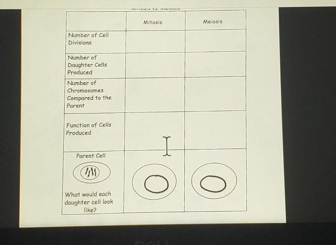 Anyone mind filling this chart in for me? Thanks, i really appreciate it, just put-example-1