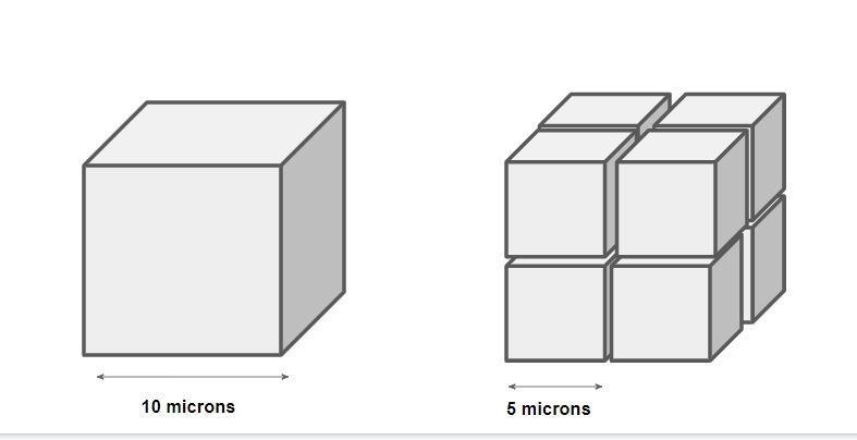 Part 1 Imagine two cells. One is 10 microns long on each side and the other is 5 microns-example-4