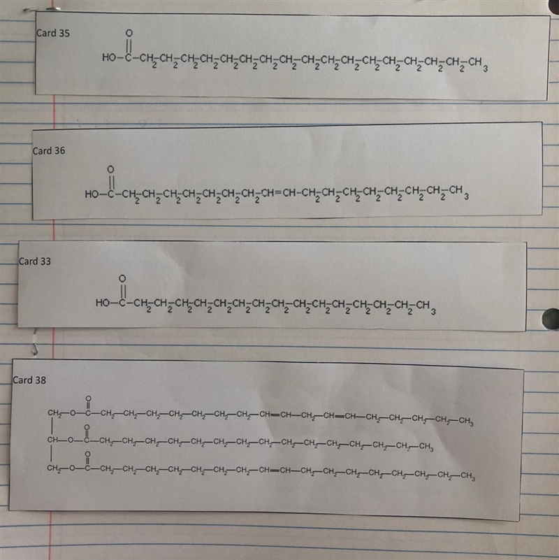 Which cards are nucleic acids?-example-1