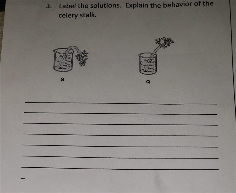 I need help on this question ​-example-1