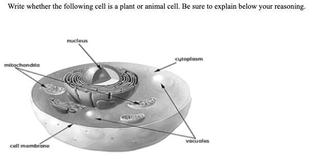 PLEASE ANSWER!!! Are these two a plant cell or an animal cell or both? The first on-example-1