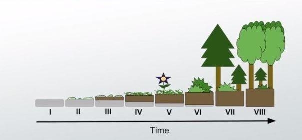 The development of a new community in a previously uninhabited area occurs via which-example-1