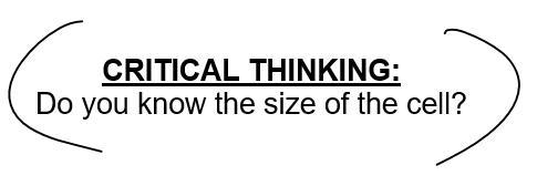 Do you know the size of the cell?-example-1