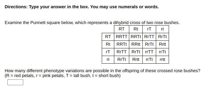 Please help me, I don't understand this-example-1