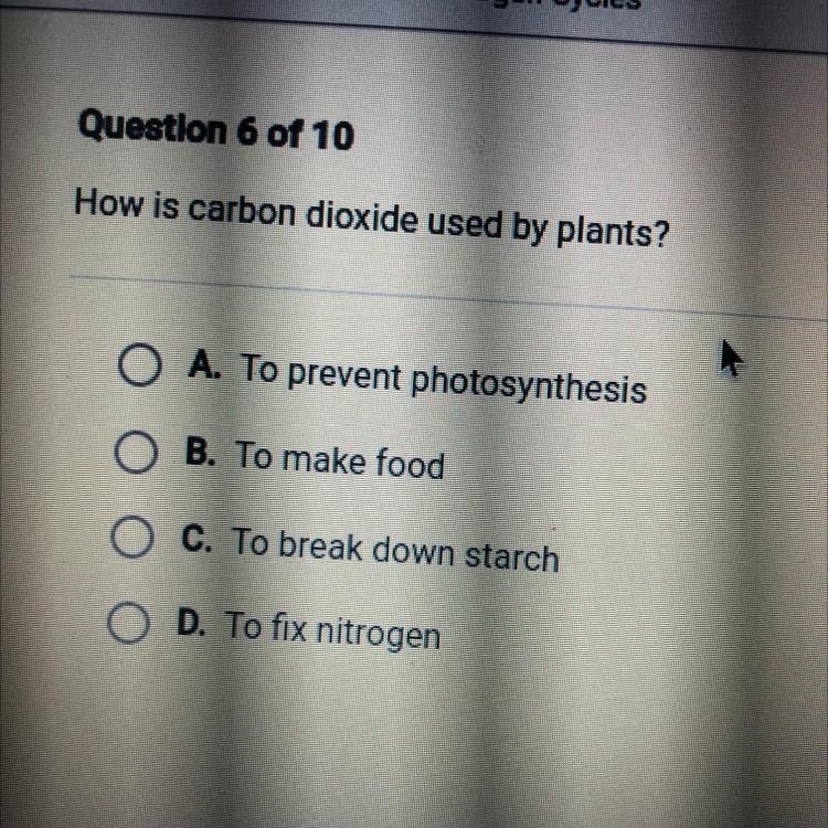 How is carbon dioxide used by plants-example-1