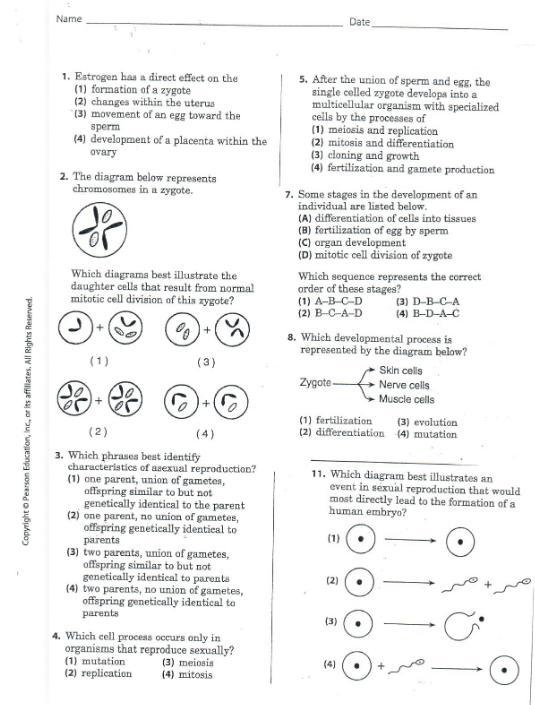 30 POINTS! NEED HELP ASAP-example-1