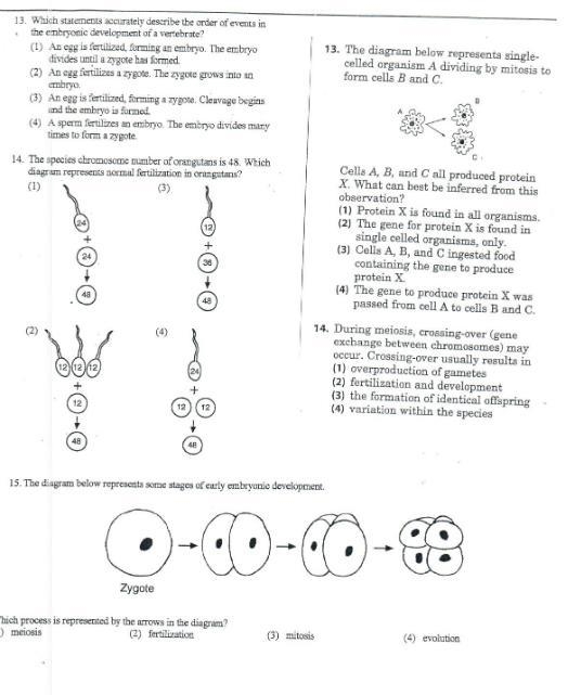 30 POINTS! NEED HELP ASAP-example-3