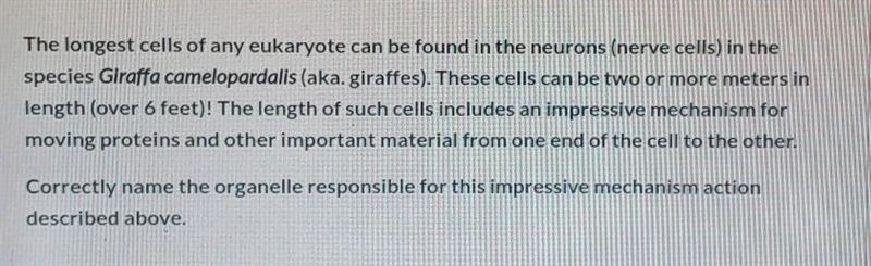 Correctly name the organelle responsible for this impressive mechanism action described-example-1