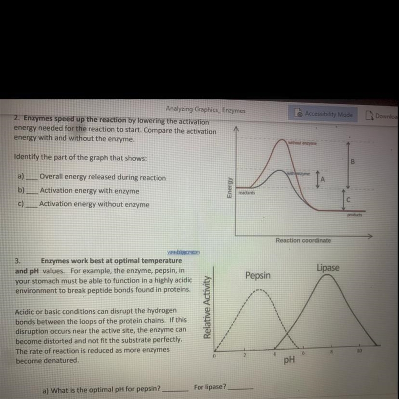 Please help meeee asap-example-1