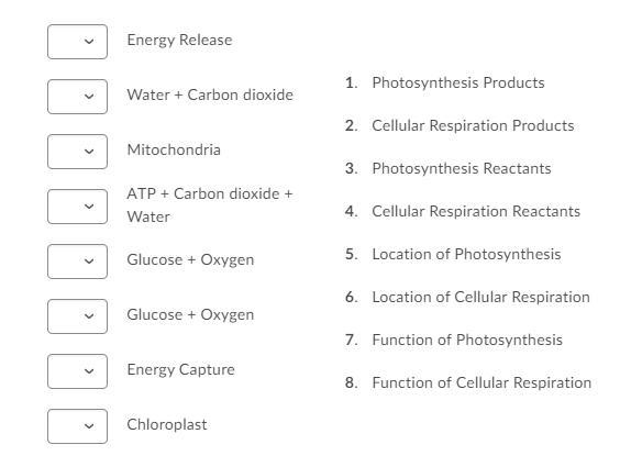 EASY 100 POINTS!! PLEASE HELP, I NEED THE GRADE! Match the options (on the left) with-example-1