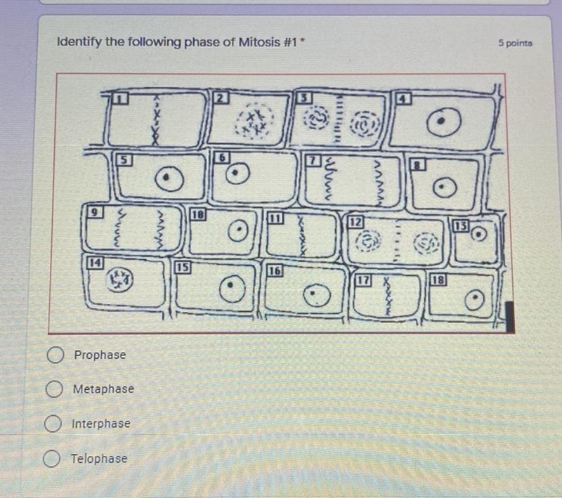 Can anyone help me with this question?-example-1