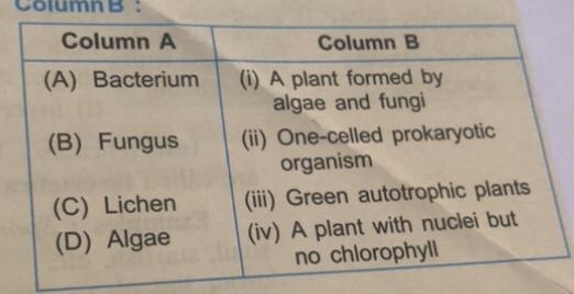 Can any one send me the answers plz-example-1