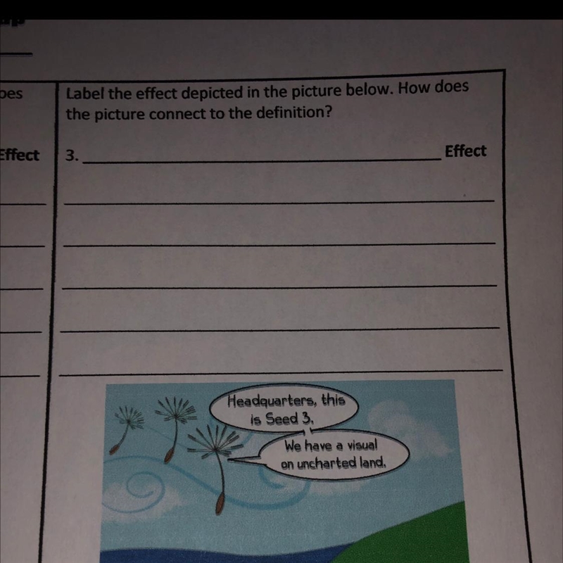 Label the effect depicted in the picture below. How does the picture connect to the-example-1