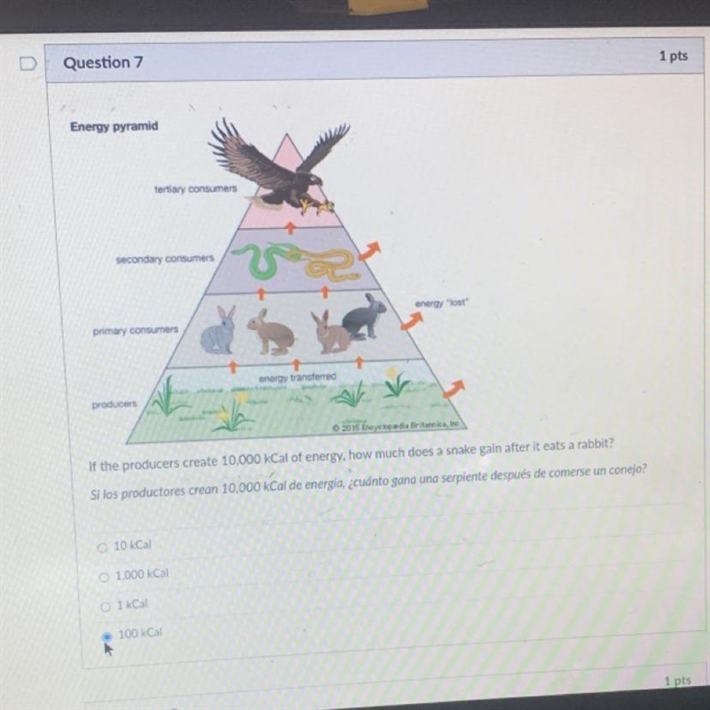 Please help :( (Energy Pyramid)-example-1