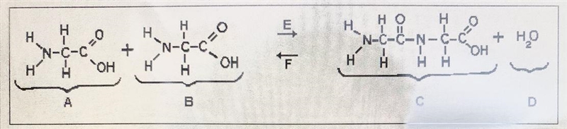 Base your answer on the chemical equation shown in the diagram below and on your knowledge-example-1