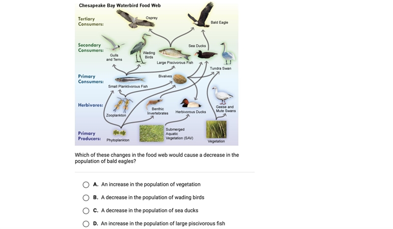 Which of these changes in the food web would cause a decrease in the population of-example-1