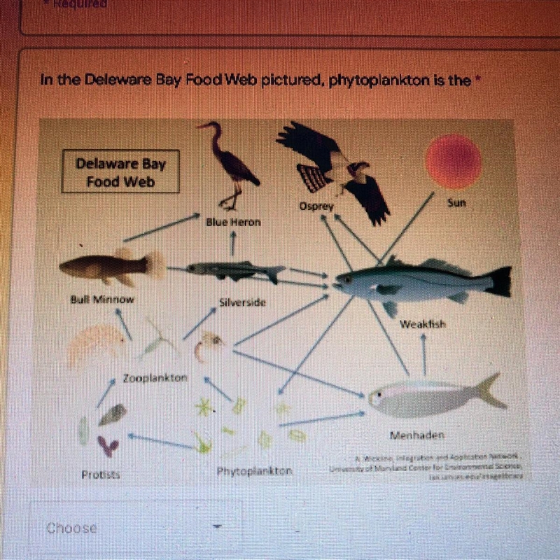 A/Producer B/Primary consumer C/Secondary consumer D/Predator E/Detrivore F/ Decomposer-example-1