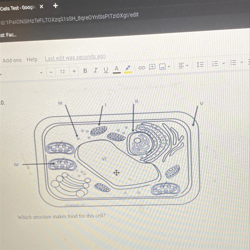 Which structure provides food for this cell-example-1