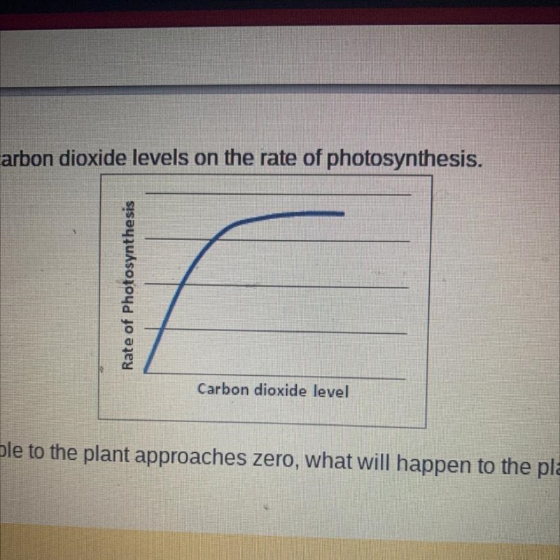 The graph below shows the effect of carbon dioxide levels on the rate of photosynthesis-example-1