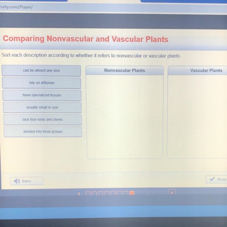 Sort each description according to whether it refers to non vascular or vascular plants-example-1