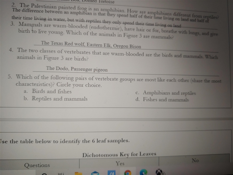 Which of the following pairs of vertebrate groups are most like each other (share-example-1