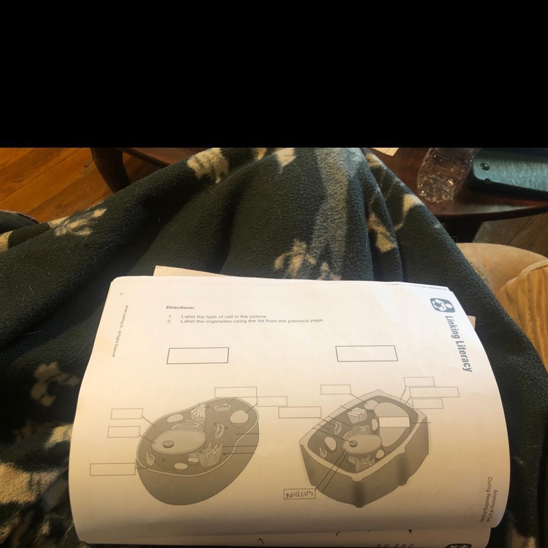 Help me name the parts of the diagram pls-example-1