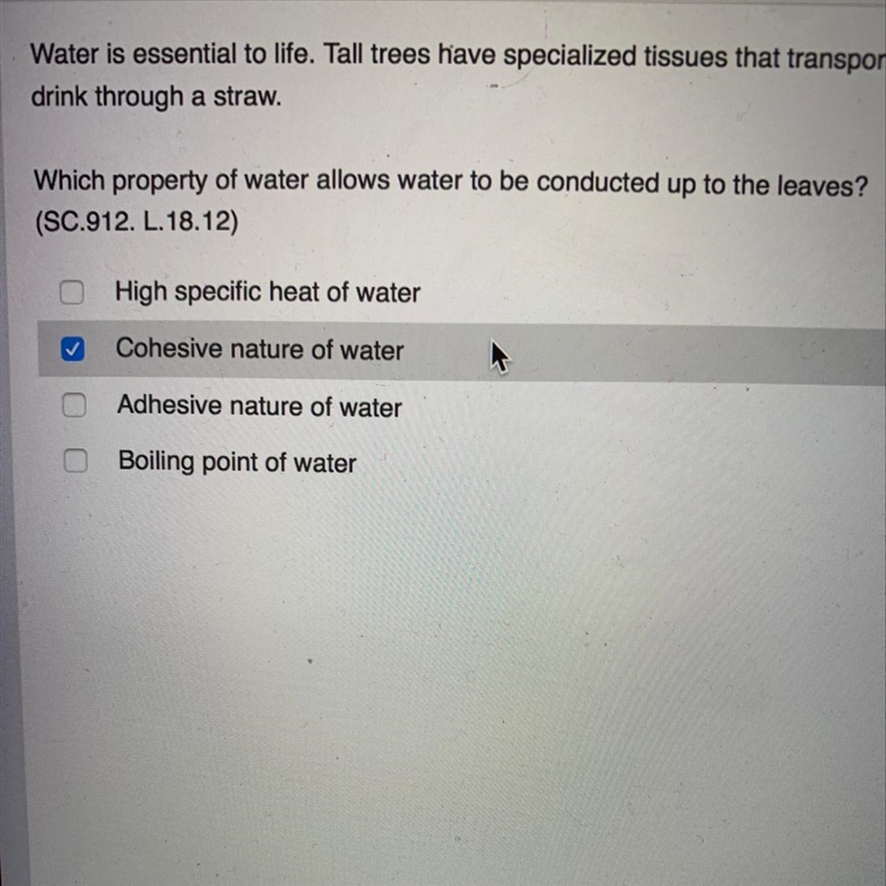 Which property of water allows water to be conducted up to the leaves?-example-1