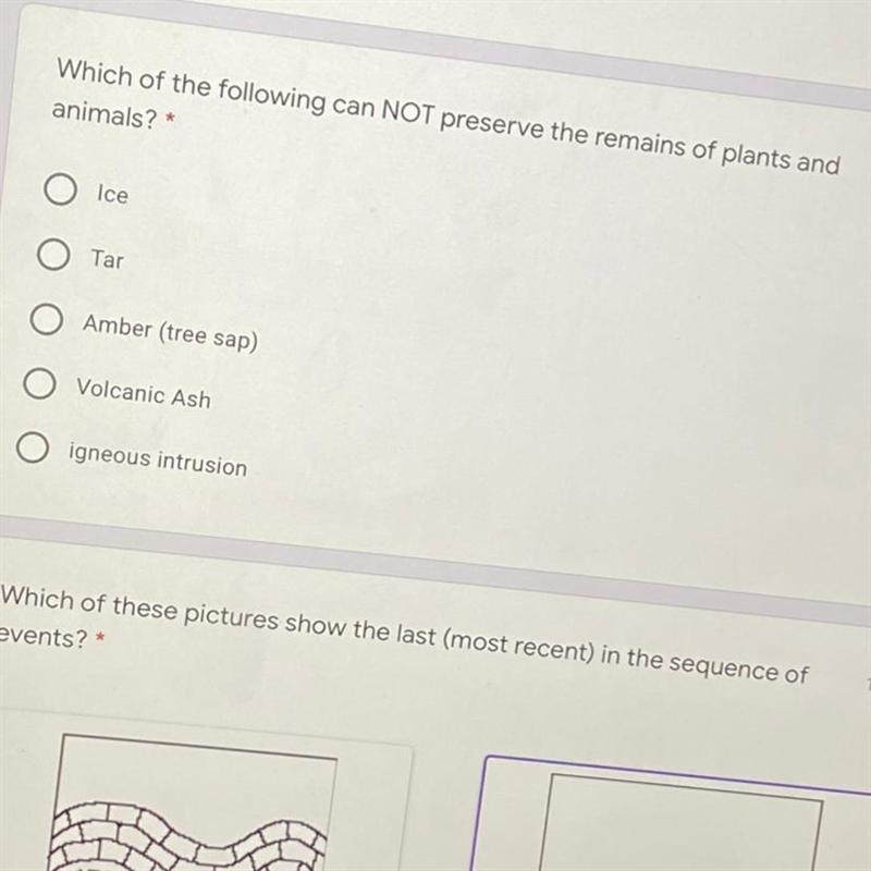 Which of the following can NOT preserve the remains of plants and animals? Ice Tar-example-1