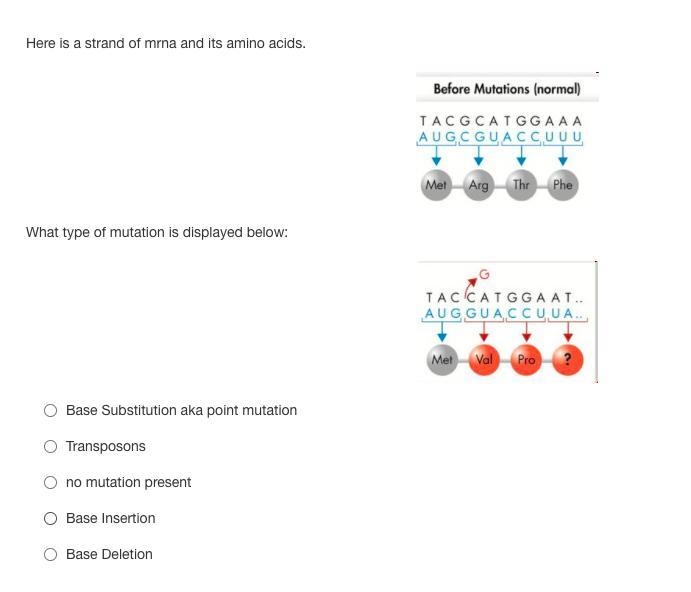 BIOLOGY, I need help on this one-example-1