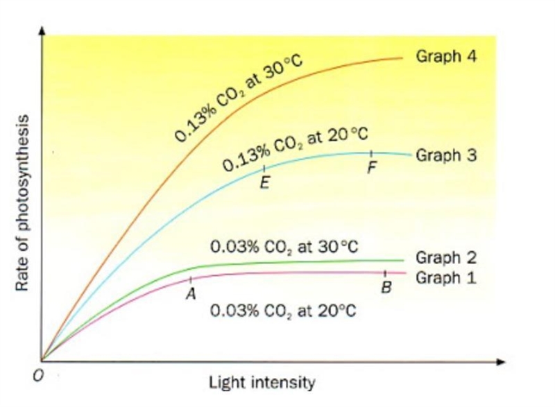 Interpret and explain this graph on photosynthesis-example-1