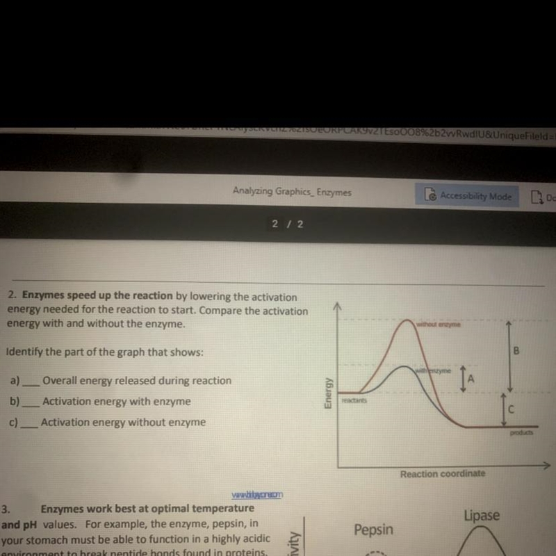 Please help. i don’t understand-example-1