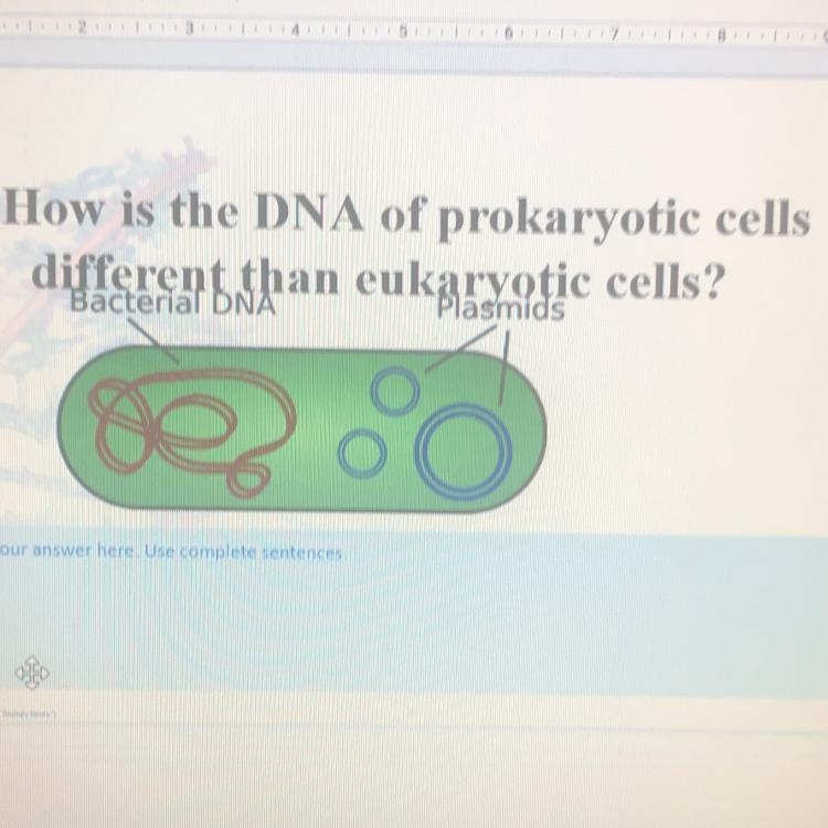 Can someone please help me with this question!? The answer is correct I will mark-example-1