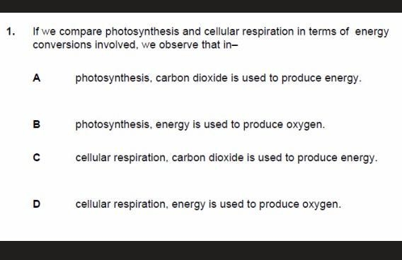 Does anyone know which option?-example-1