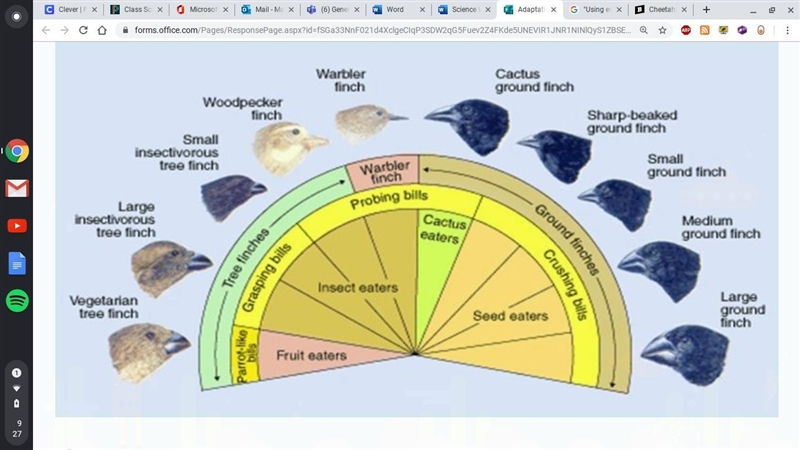 Using evidence from the diagram, which adaptation has allowed finches to survive in-example-1