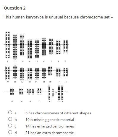 Answer correctly 50 Points Answer correctly 50 Points 1. The main goal of the Human-example-1