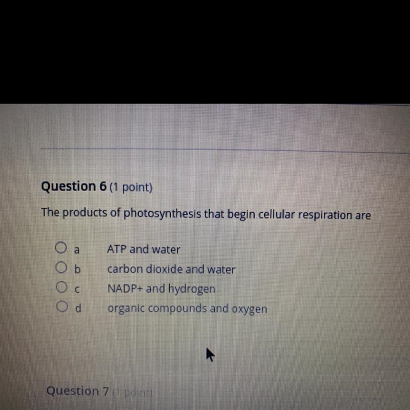 The products of photosynthesis that begin cellular respiration are-example-1