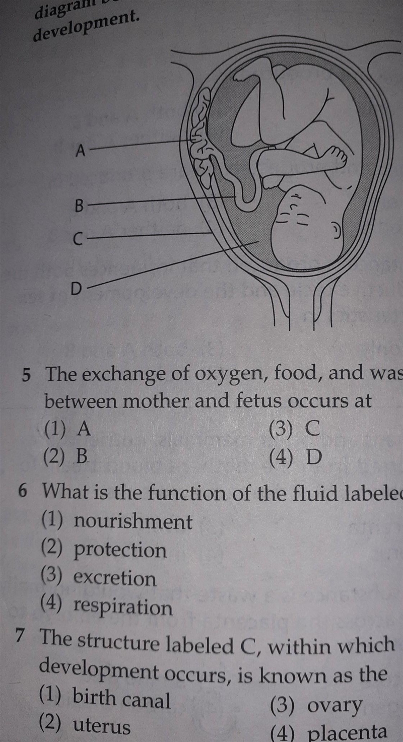 Please answer this biology question!​-example-1