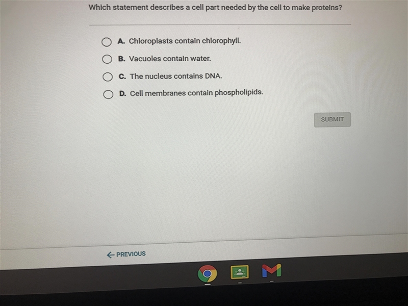 Which statement describes a cell part needed by the cell to make proteins? A) Chloroplasts-example-1