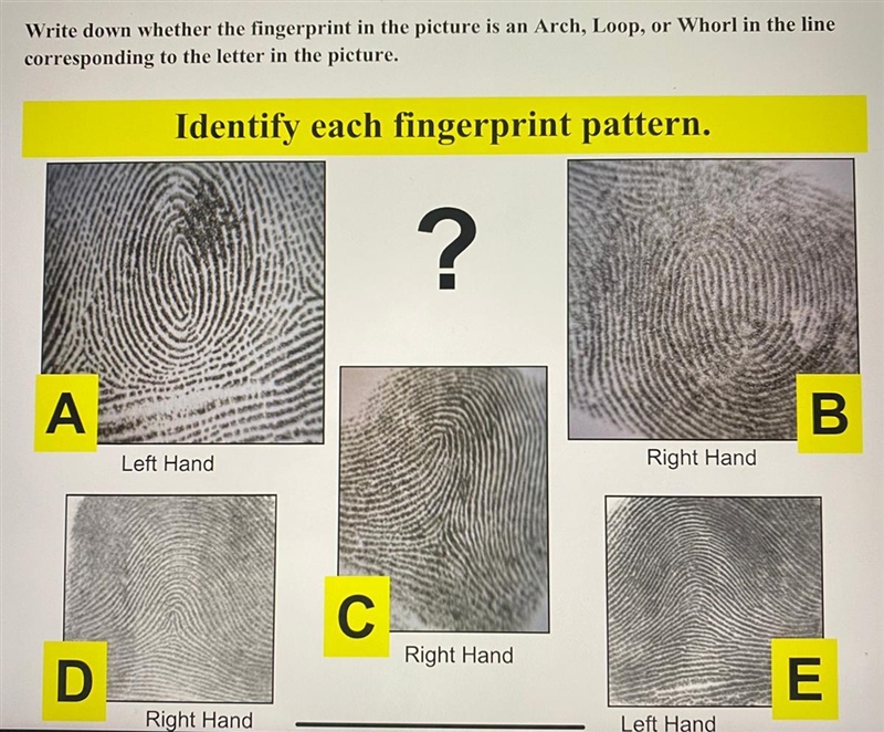 Write down where the fingerprint is an Arch, Loop, or Whorl-example-1