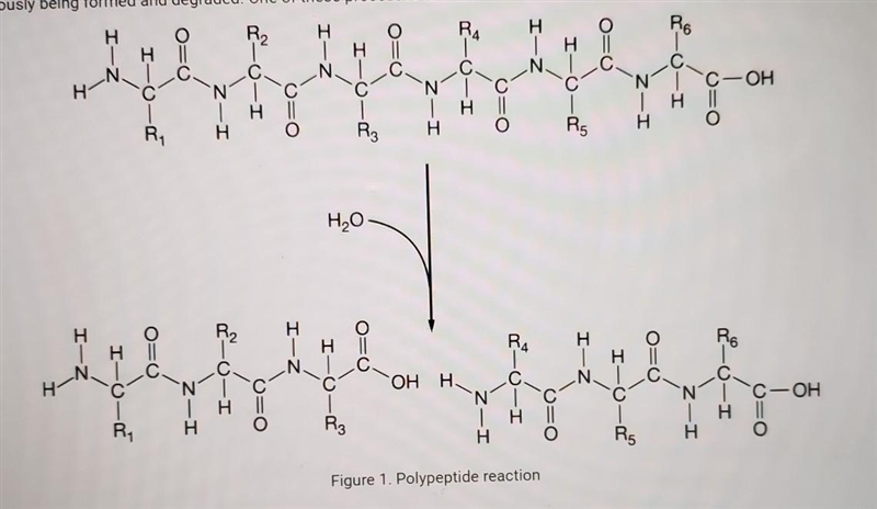 Which statement is the most accurate description of the reaction shown in Figure 1? A-example-1