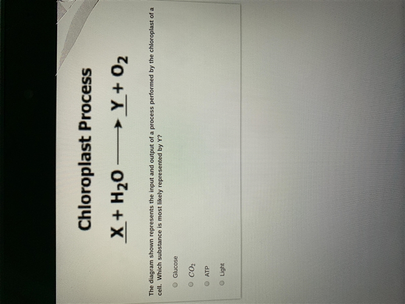 Plz help!! Which substance is most likely represented by y?-example-1