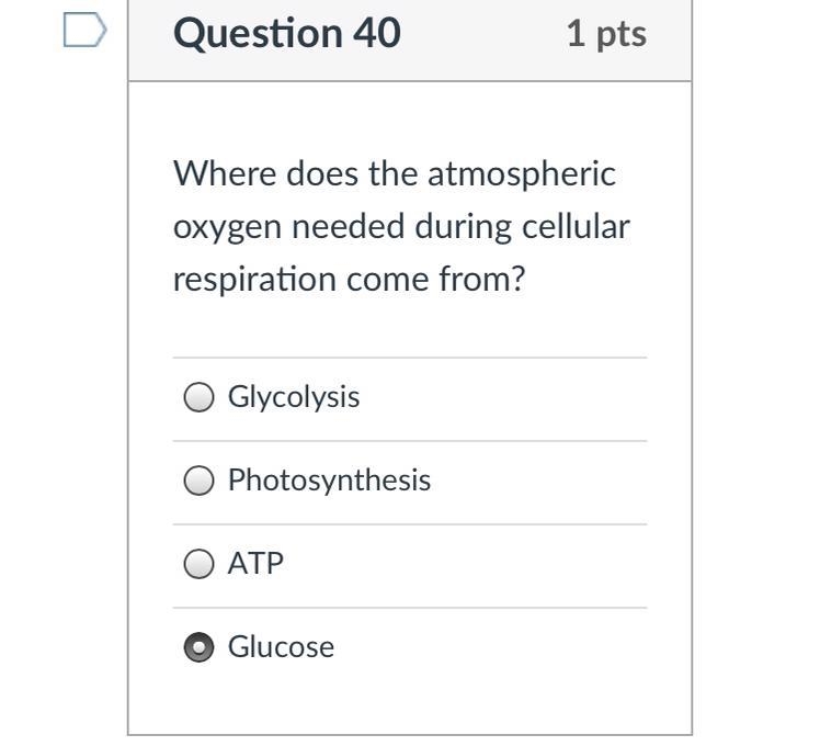 Don’t mind the answer I put. Pls help-example-1