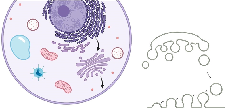 PLZZ Help me, my dear friends!!! Can someone tell me what this is? The chapter's name-example-1