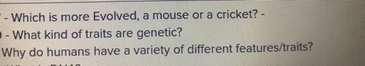 Can someone help me with those 3 questions plz ! and thank you !-example-1