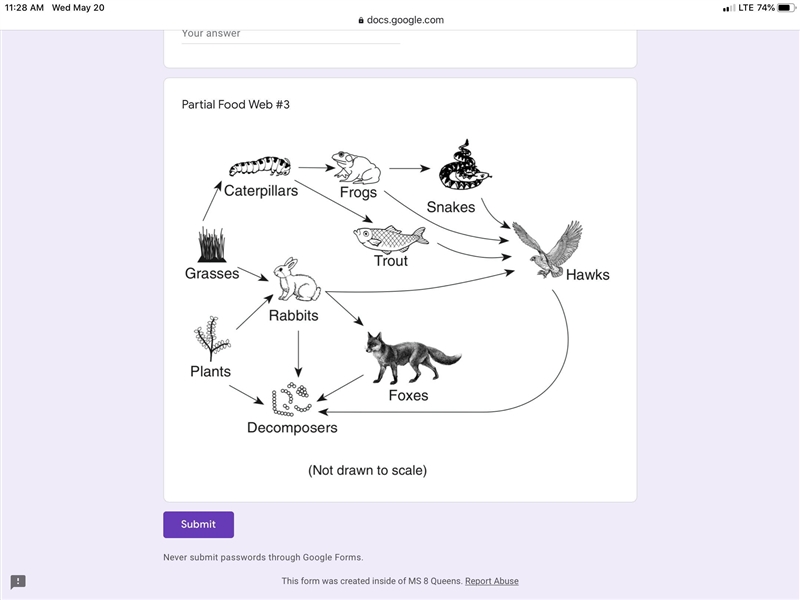 Which one of these organisms are producers. Someone plz help-example-1