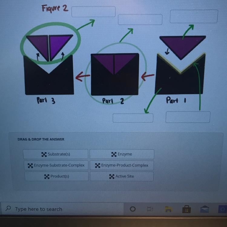 Which goes in which-example-1