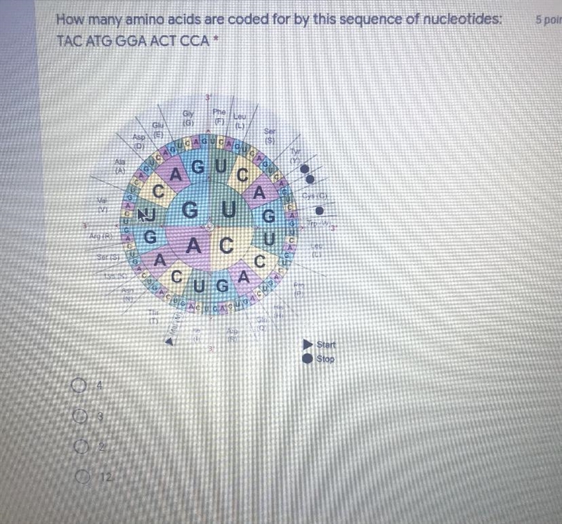 What’s the answer to this??-example-1